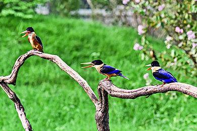 KK对战平台双十一大促来袭！查收你的进货清单！